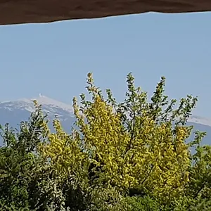 pura-vida.fr-provencehotel.com/